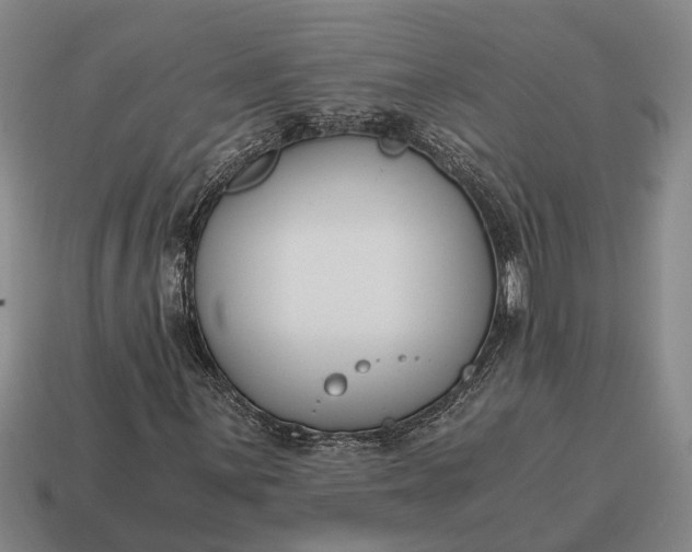 X0000115081059200911101458
