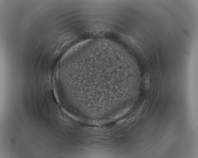 X0000115081060200911101458