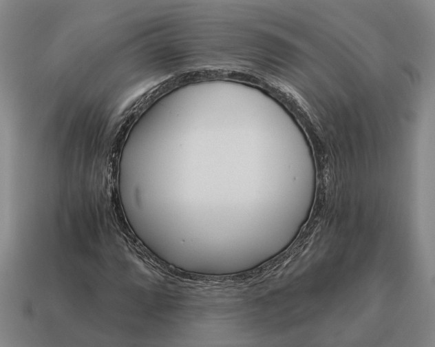 X0000115081064200911101458