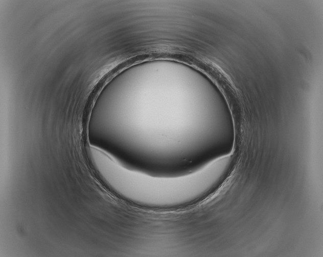 X0000115081065200911101458