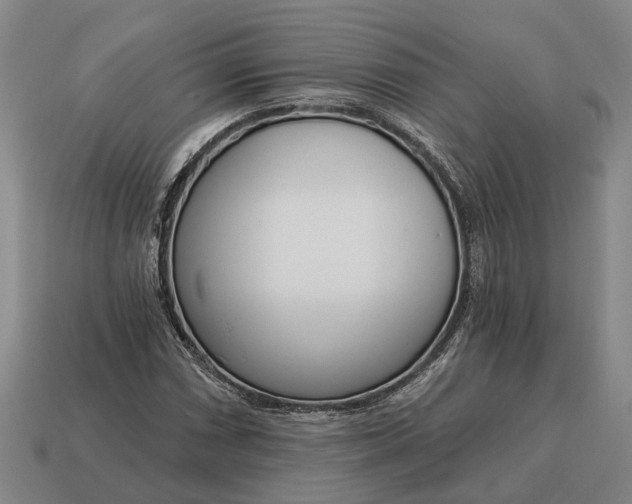 X0000115081066200911101458