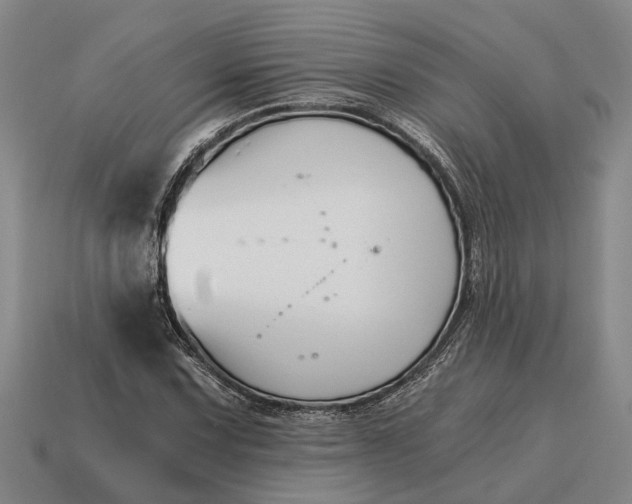 X0000115081067200911101458