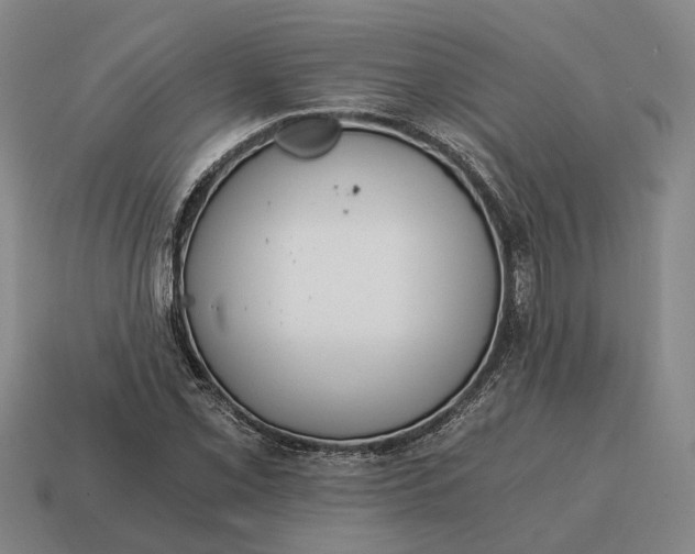X0000115081069200911101458
