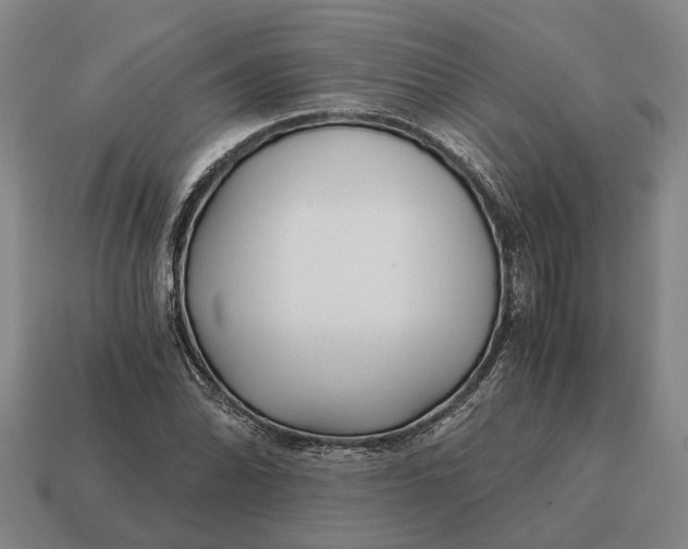 X0000115081070200911101458