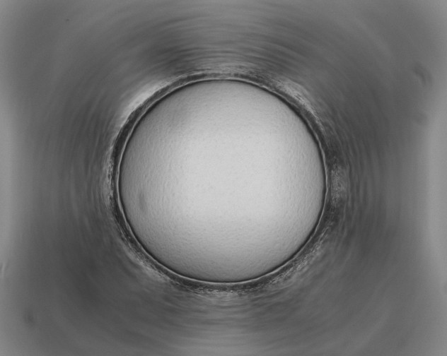 X0000115081071200911101458