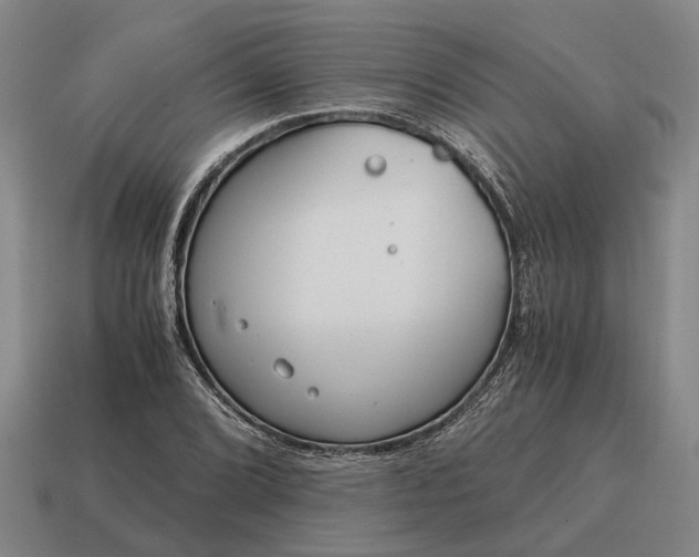 X0000115081072200911101458
