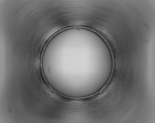 X0000115081073200911101458