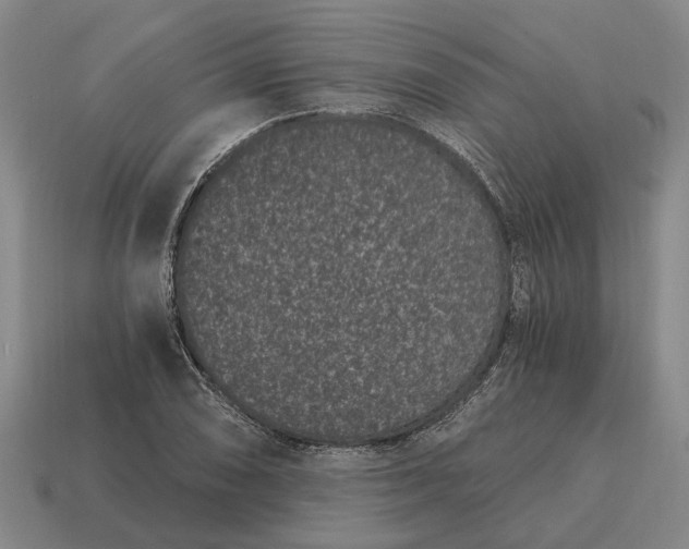 X0000115081074200911101458