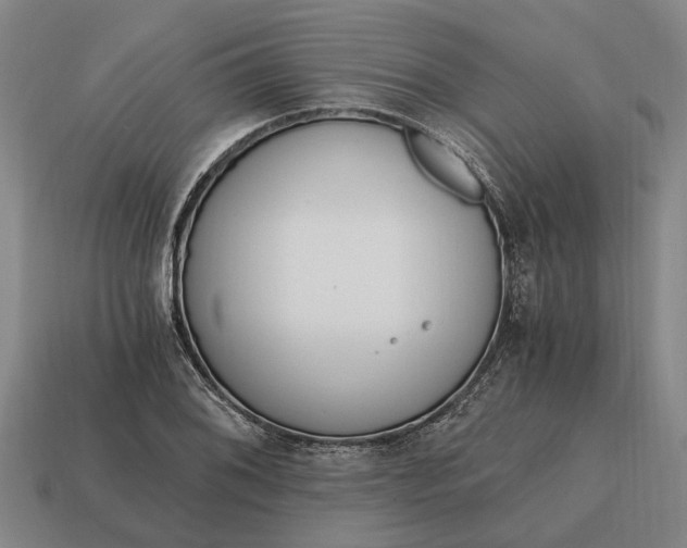 X0000115081076200911101458
