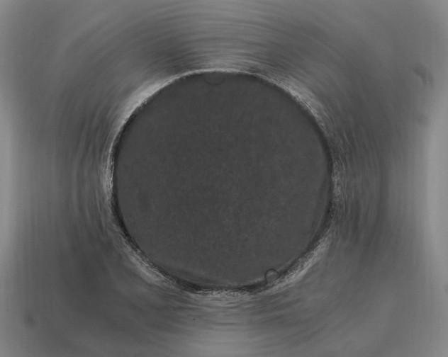 X0000115081077200911101458