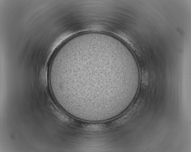 X0000115081078200911101458