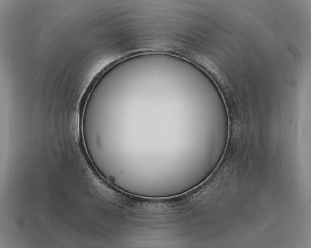 X0000115081079200911101458