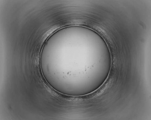 X0000115081081200911101458
