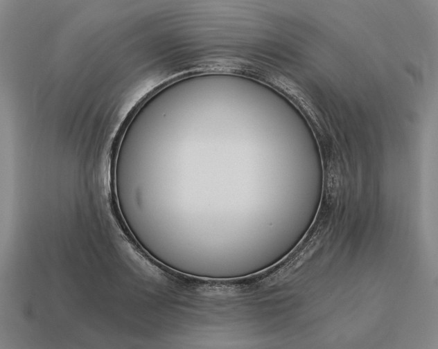 X0000115081083200911101458
