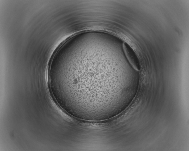 X0000115081084200911101458