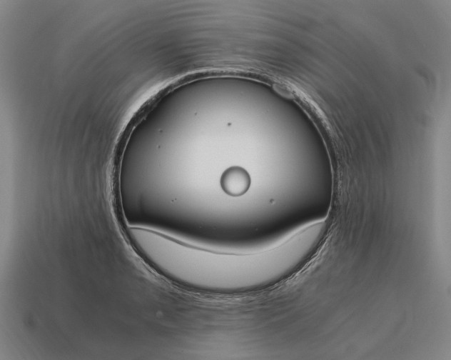 X0000115081085200911101458