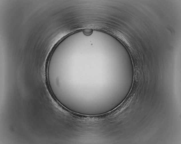 X0000115081087200911101458