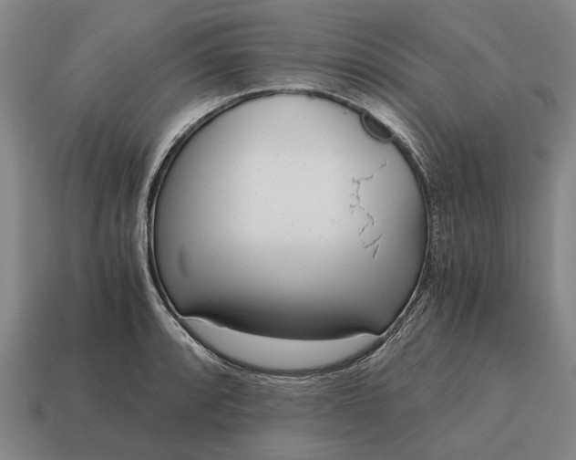 X0000115081088200911101458