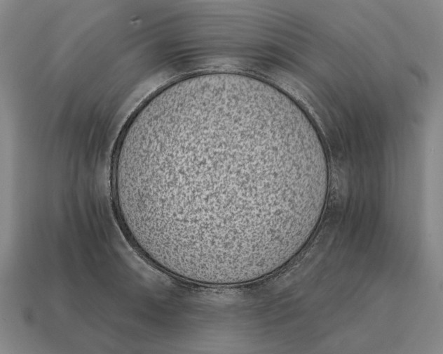 X0000115081090200911101458