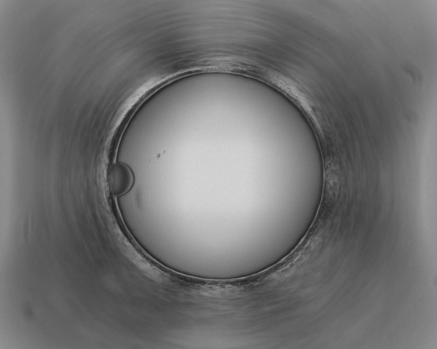 X0000115081091200911101458