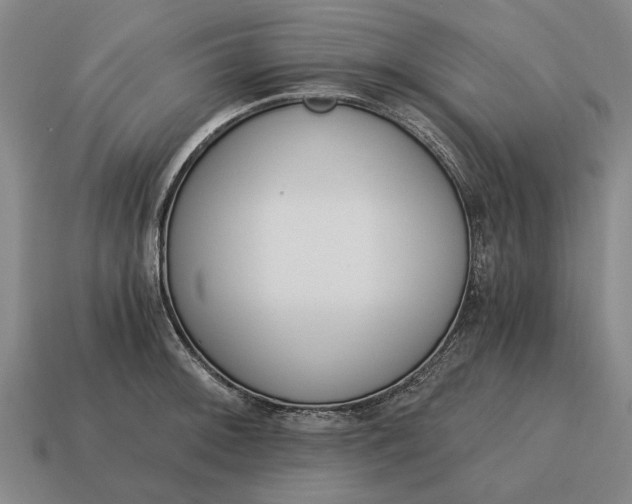 X0000115081092200911101458