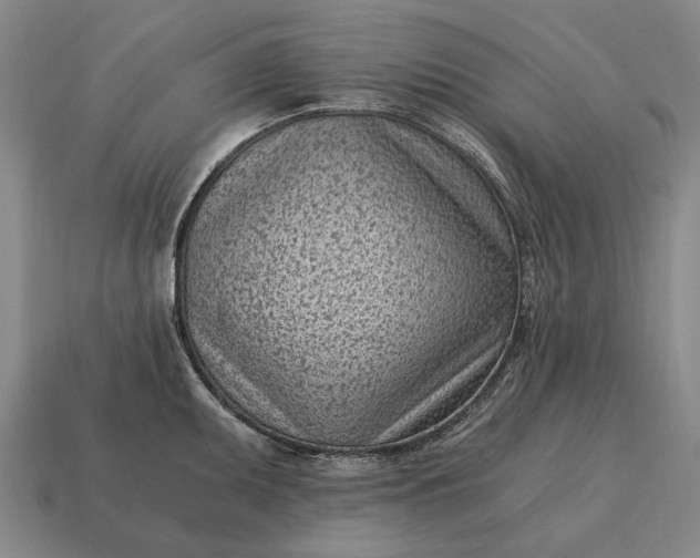 X0000115081095200911101458
