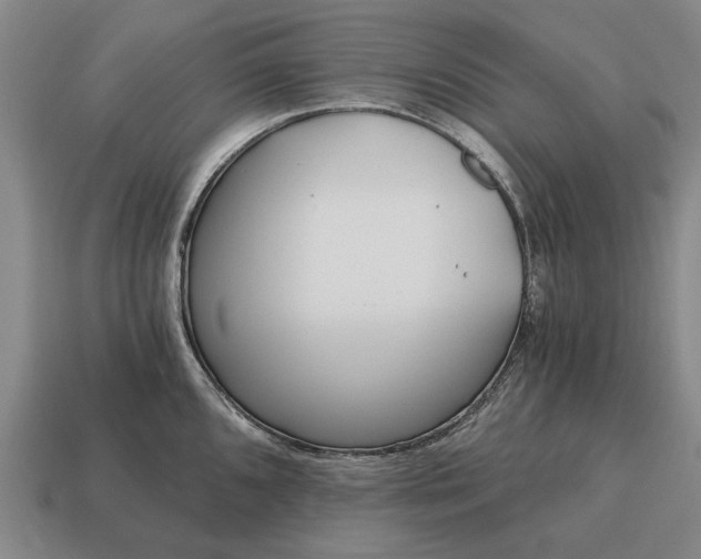 X0000115081096200911101458