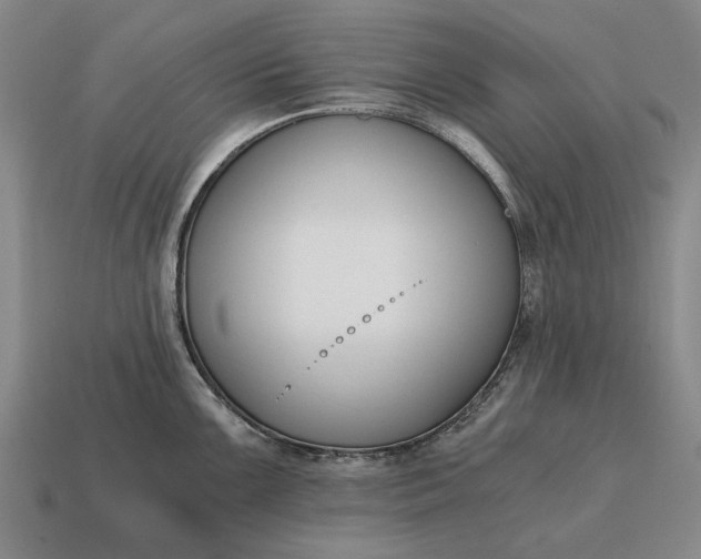 X0000115081099200911101458