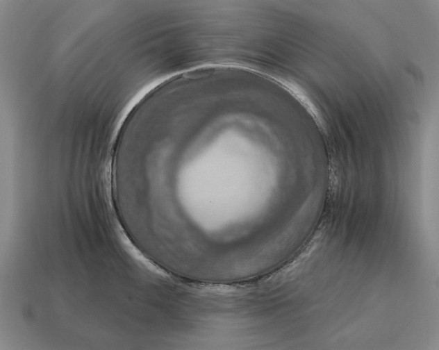 X0000115081100200911101458