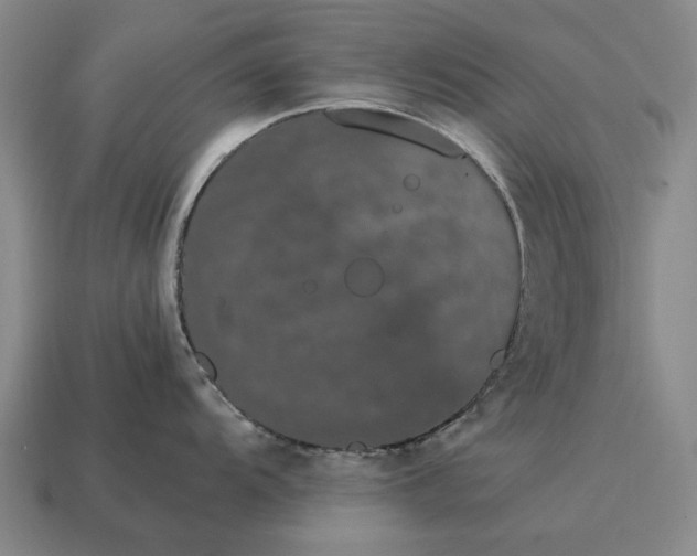 X0000115081104200911101458