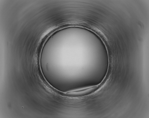 X0000115081114200911101457