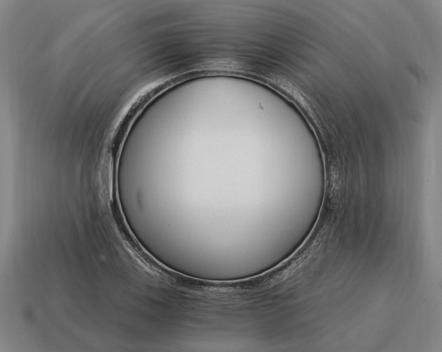 X0000115081123200911101457