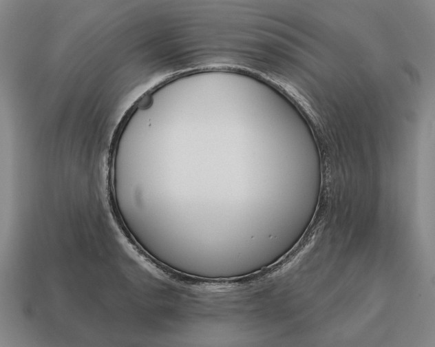 X0000115081134200911101457