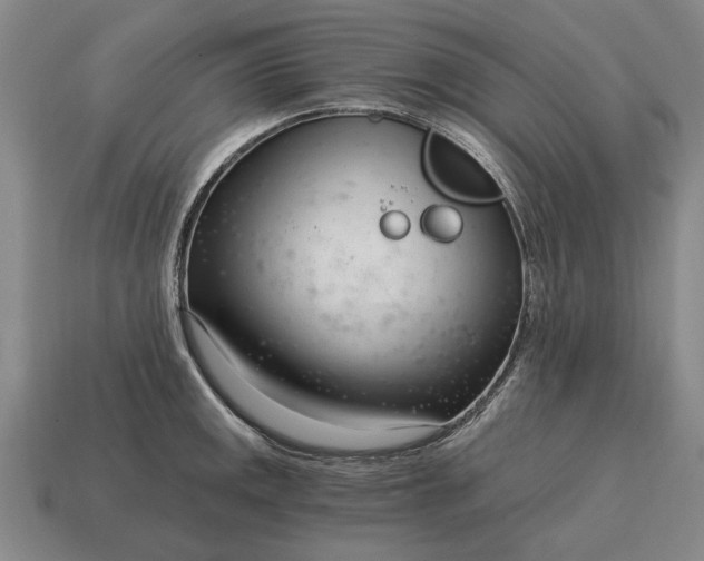 X0000115081141200911101458