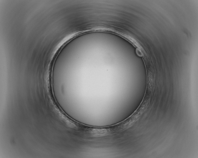 X0000115081142200911101458