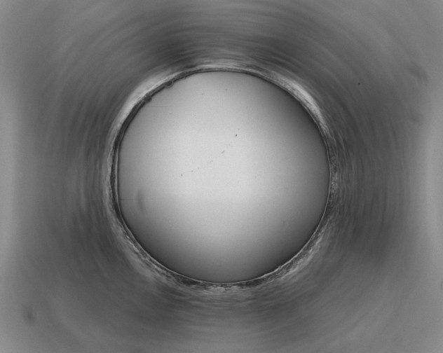 X0000115081146200911101458