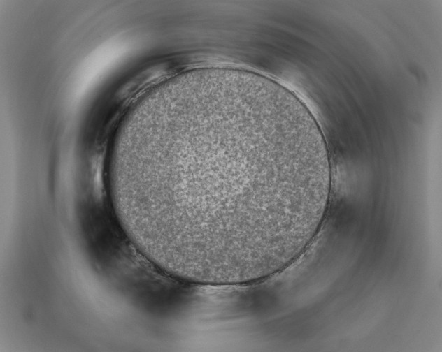 X0000115081150200911101458