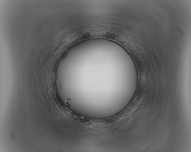 X0000115081153200911101457
