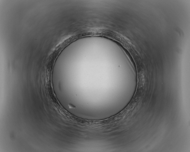 X0000115081158200911101457