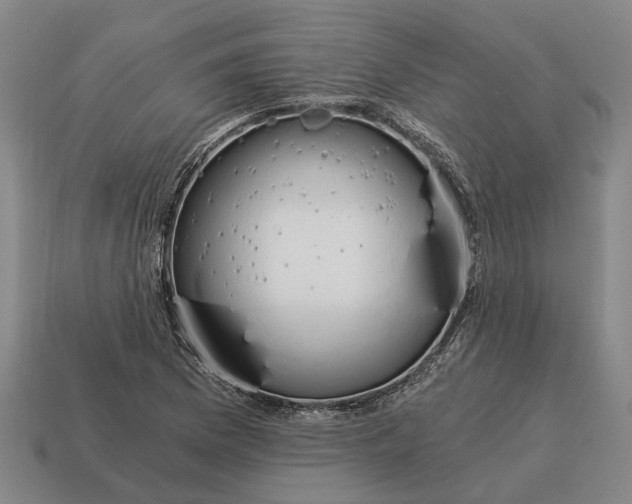 X0000115081169200911101457