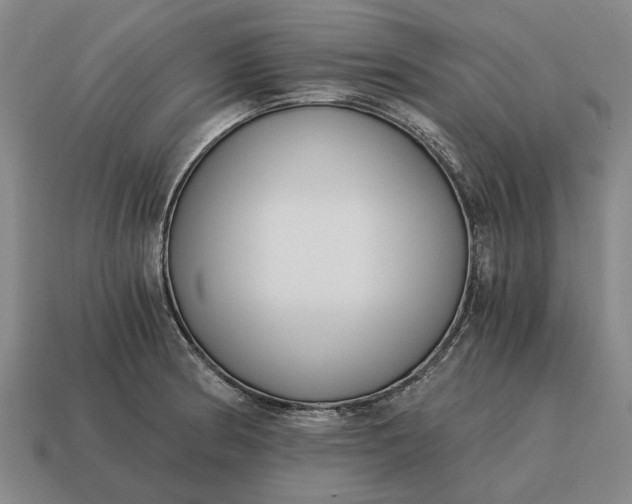 X0000115081186200911101456