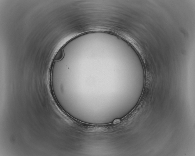 X0000115081187200911101456