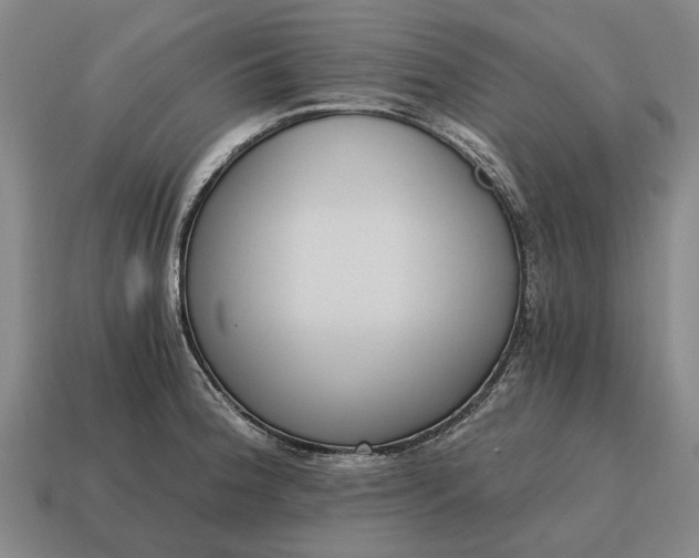 X0000115081188200911101456