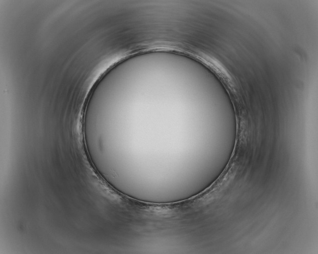 X0000115081190200911101456
