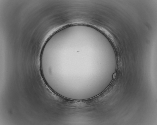 X0000115081191200911101456