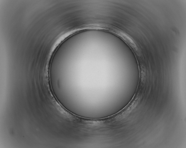 X0000115081192200911101456