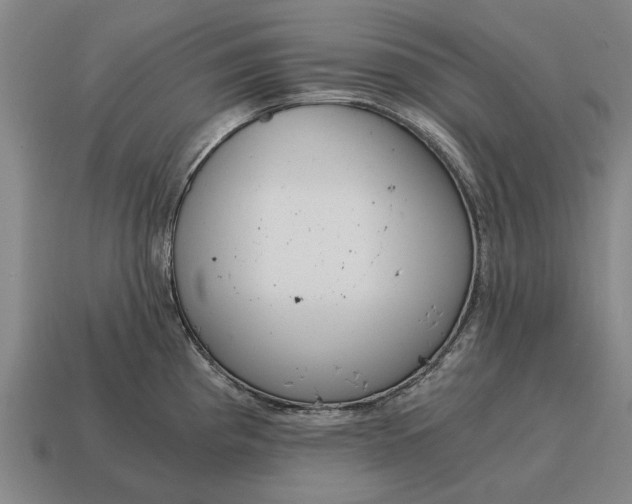 X0000115081193200911101456