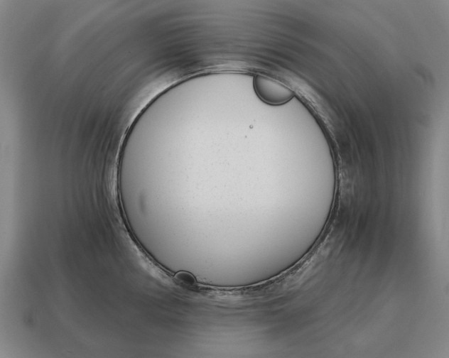X0000115081194200911101456
