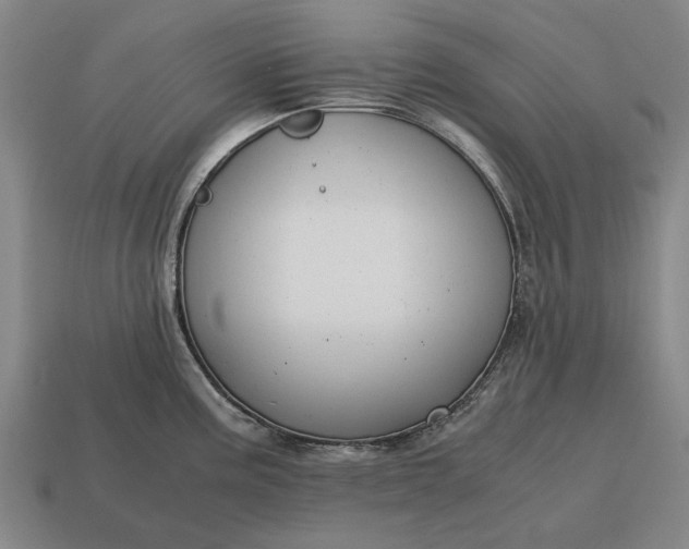 X0000115081195200911101456