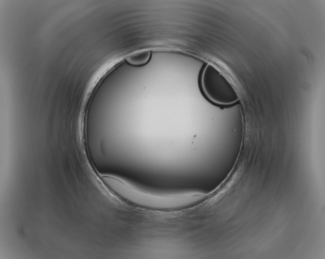 X0000115081196200911101456